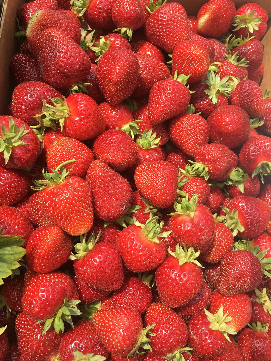 strawberry, fruit, harvest, healthy eating, red, food and drink HD wallpaper