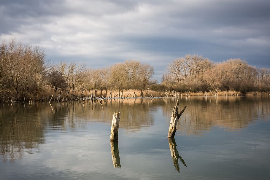 nature, reflection, tree, waters, landscape, winter, schönwetter HD wallpaper