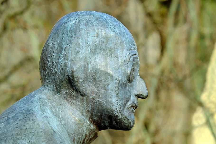 closeup photo of male statue, sculpture, bronze, portrait, max planck, HD wallpaper