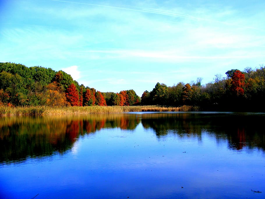 landscape photography of body of water between trees, lake HD wallpaper