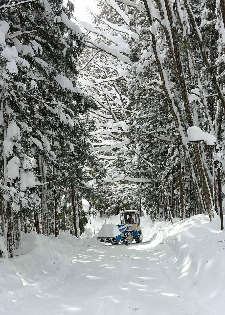 snow, hakuba, japan, winter, clearing, snow clearing, cold temperature, HD wallpaper