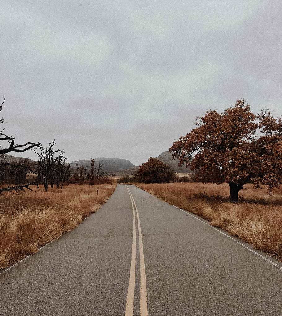 gray concrete highway surrounded by dry grass, gray concrete roadway HD wallpaper
