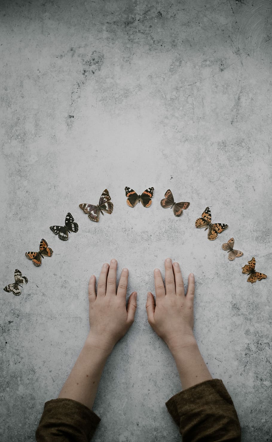 butterflies collection, person's hands surrounded with butterflies HD wallpaper