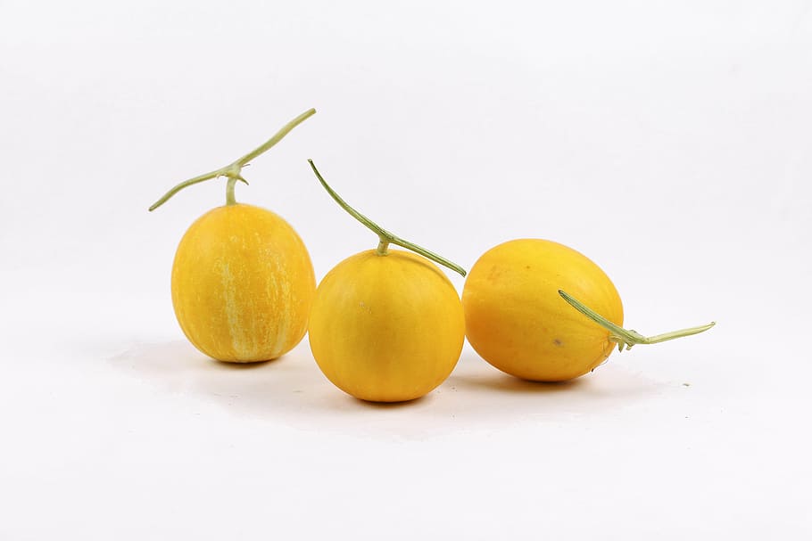 melon, melons, the course, yanggu melon, korea, yellow course HD wallpaper