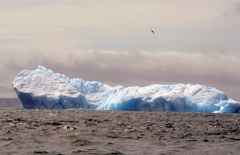 iceberg, antarctica, cold, ocean, frozen, sky, glacier, scenics - nature HD wallpaper