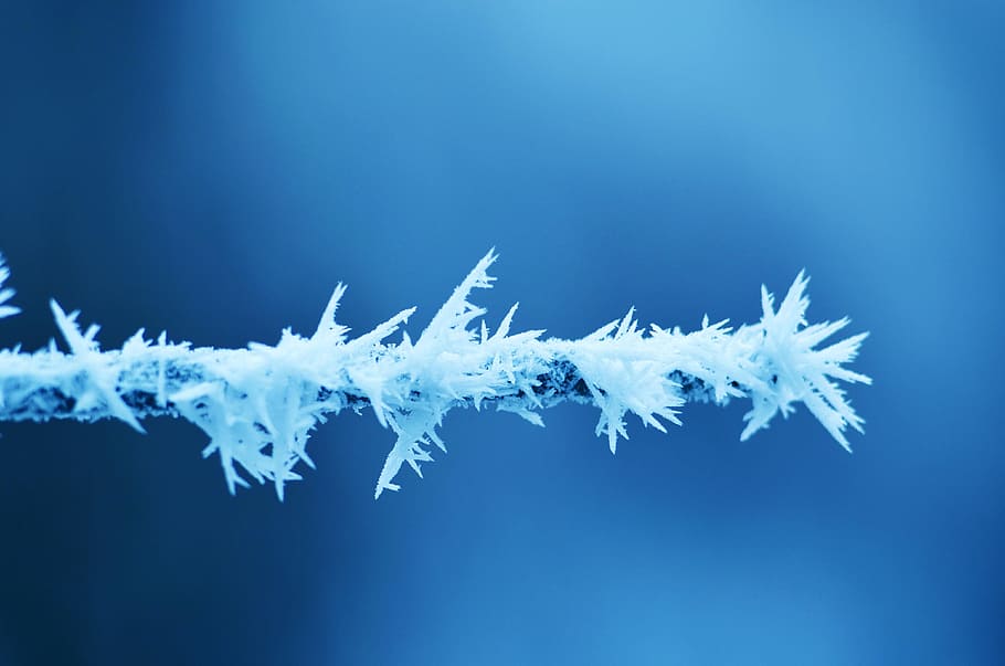 leann, background, blue, nature, snow, light, handsomely, cold temperature HD wallpaper