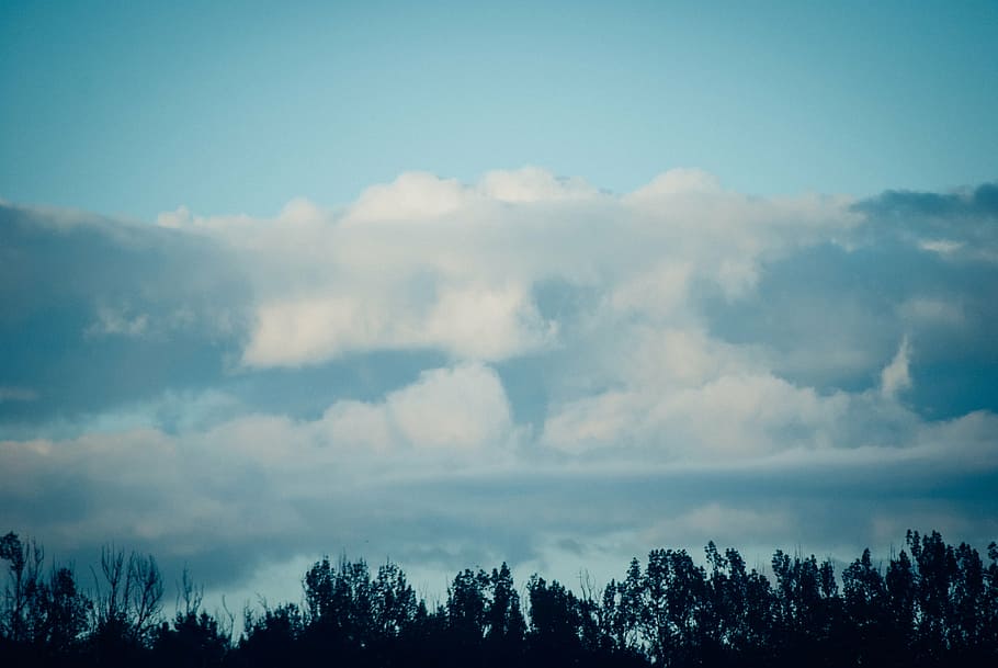 low angle photo of clouds, green, trees, blue, sky, daytime HD wallpaper