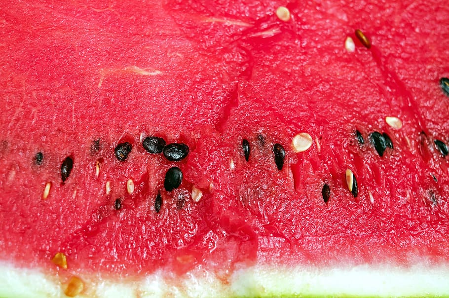 focused photo of sliced watermelon and watermelon seeds, fruit HD wallpaper