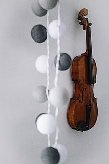 Elegant home decor, interior, beautiful, rich, violin, music HD wallpaper
