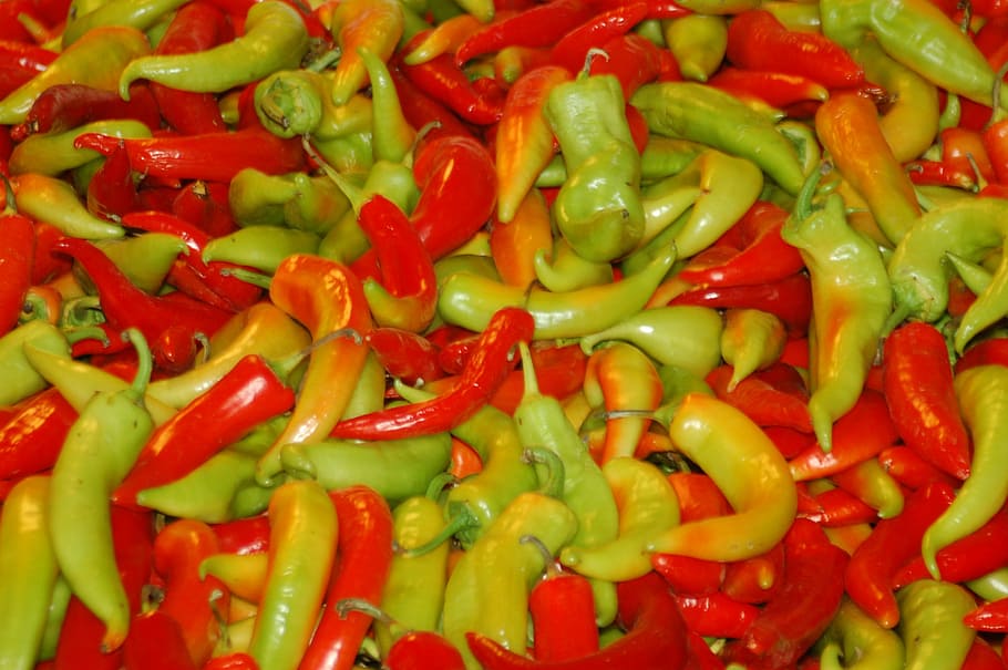 peppers, aji, vegetables, spicy, full frame, spice, food and drink HD wallpaper