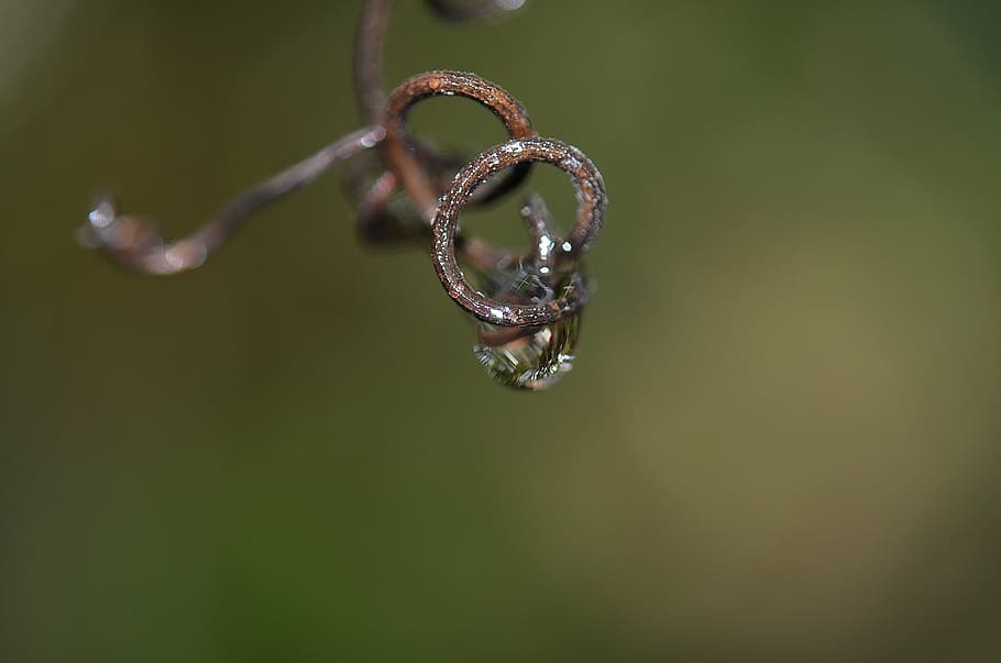 water, drop, rain, nature, raindrop, waterdrop, macro, close-up HD wallpaper