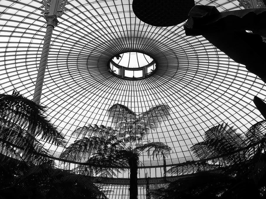 low-angle shot of dome building, ceiling, botanics, decoration HD wallpaper