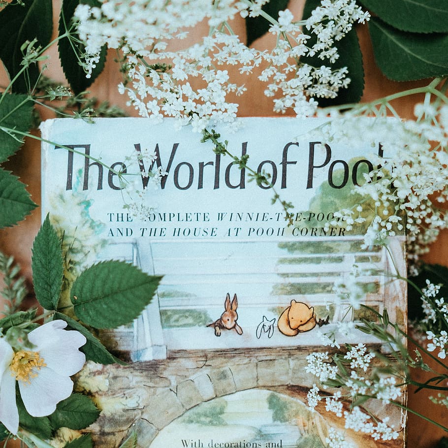 The World of Pooh Bear, The World of Pooh with complete Winnie-The-Pooh and the House At Pooh corner book surrounded with white flowers