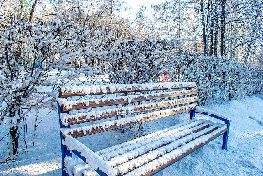 winter, snow, coldly, leann, wood, frozen, nature, bench, blue sky HD wallpaper
