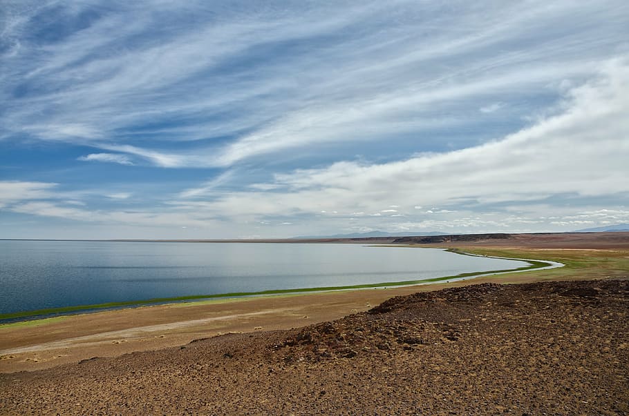 body of water beside shore, lake, mongolia, steppe, desert HD wallpaper