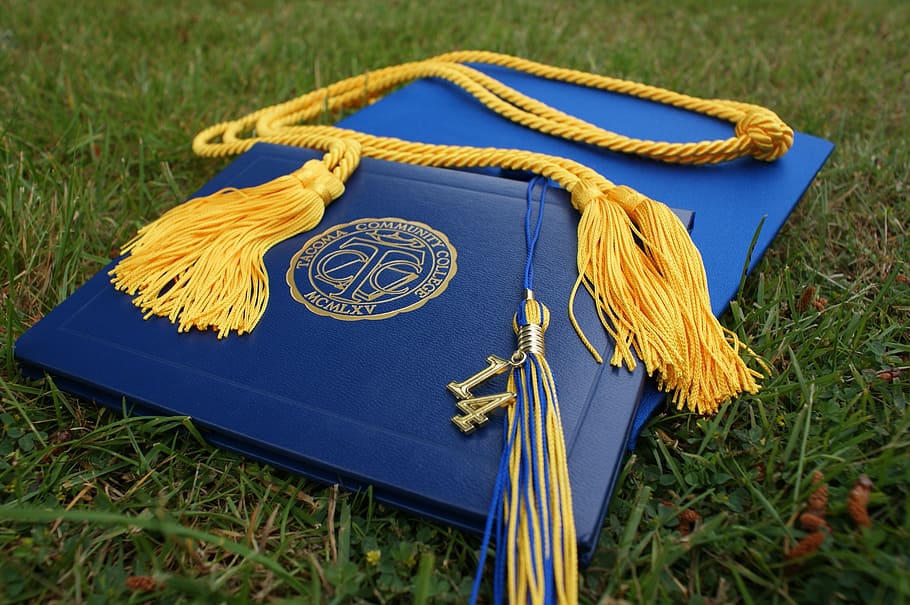 blue graduation book and hatg, grads, cap, diploma, education