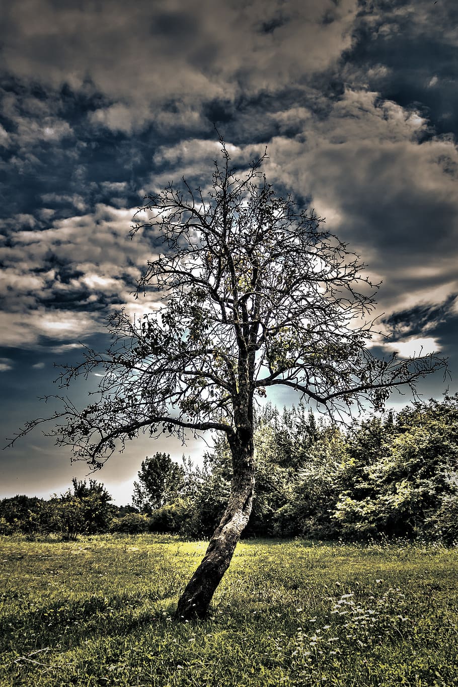 wood, hdr, cloud, clouds, contrast, sky, light, cloudy skies HD wallpaper