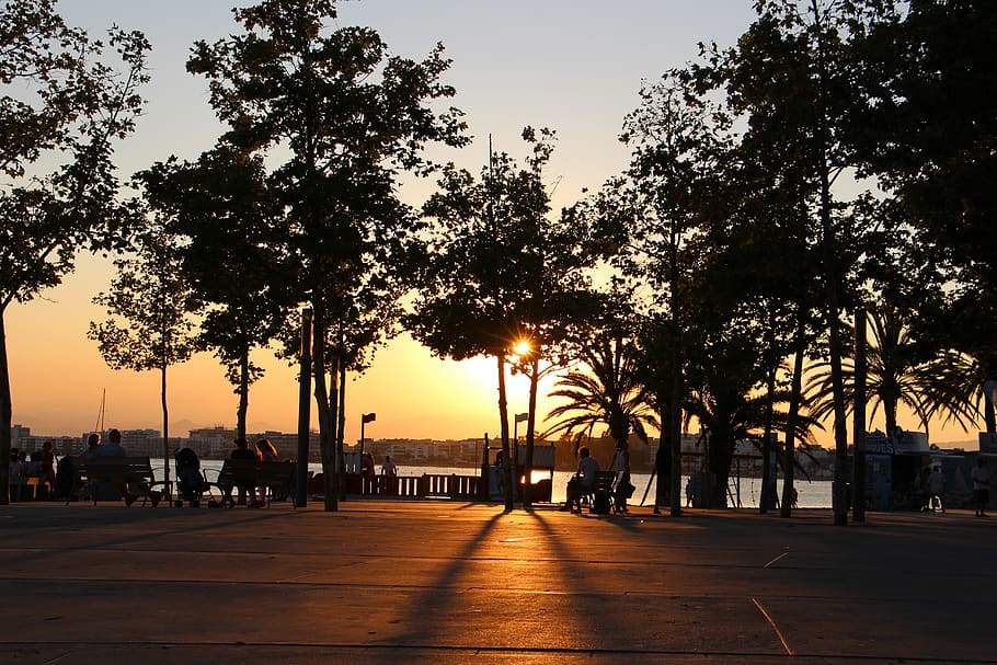 sun, sea, beach, tree, sunset, sky, plant, nature, city, silhouette HD wallpaper