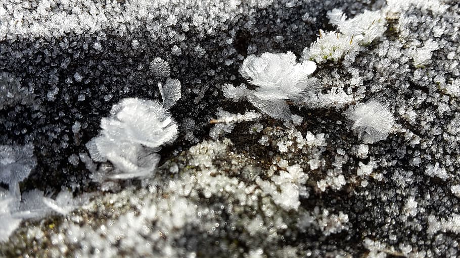 frost, hardest, winter magic, eiskristalle, hoarfrost, iced HD wallpaper
