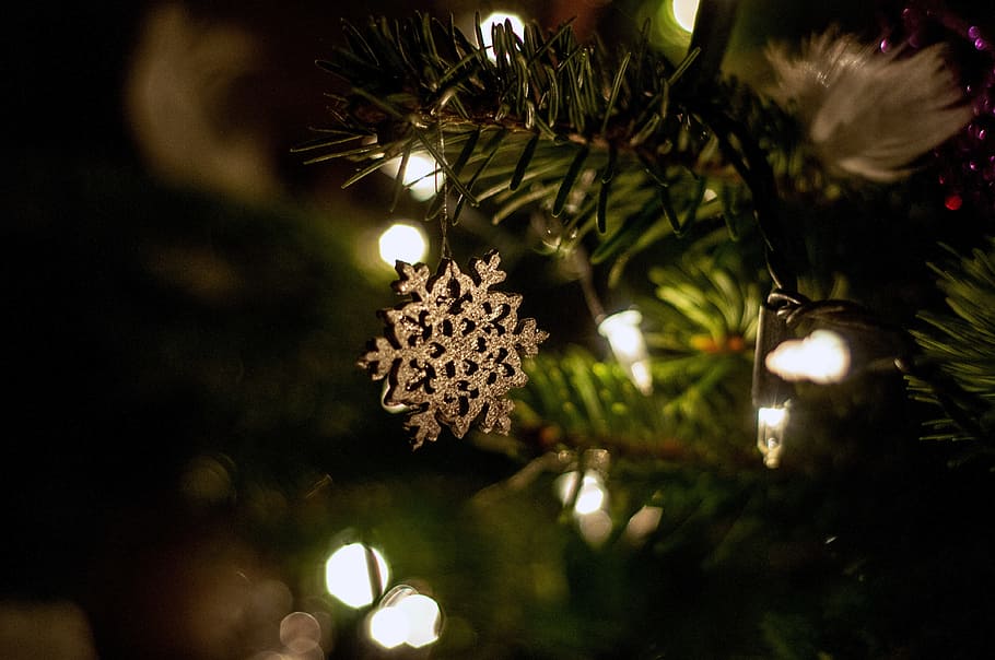 christmas, tree, lights, ornaments, decorations, festive, christmas tree HD wallpaper