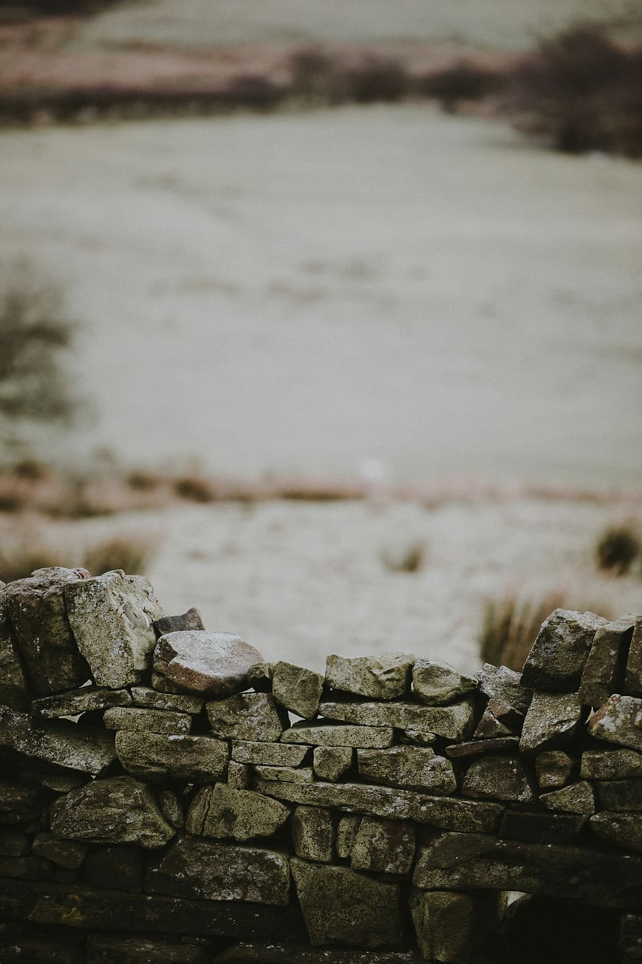 Stone Wall, closeup photography of stone, field, grass, tree HD wallpaper