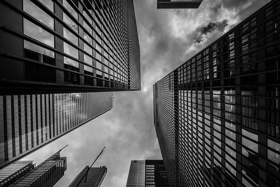 worm's-eye view of buildings, grayscale worm's eye view photo of city buildings, HD wallpaper