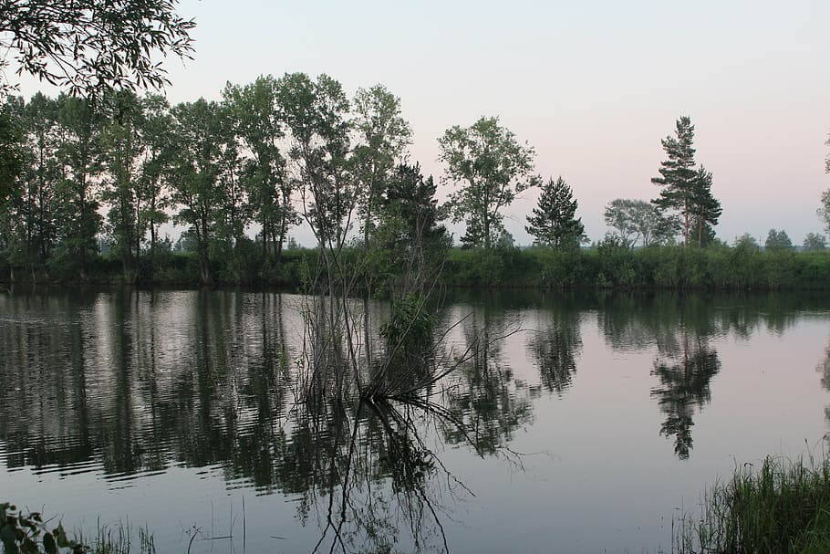 lake, reflection, summer, russia, river, pond, mirror reflection HD wallpaper