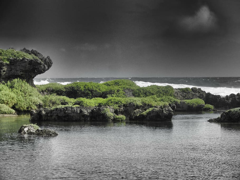 grayscale photography of green grass near body of water, guam, HD wallpaper