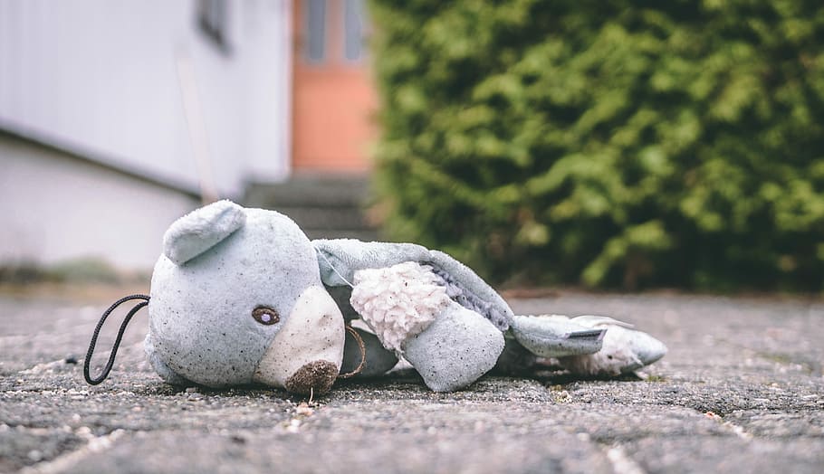 photo of bear plush toy on pavement, bear lying on ground, broken HD wallpaper