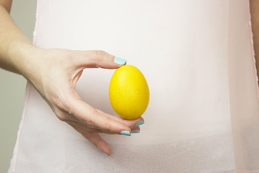 person holding brown egg, easter, spring, holiday, decoration HD wallpaper