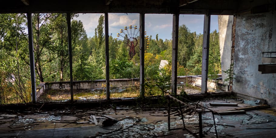 atom, nuclear power plant, abandoned, infested, was, chernobyl