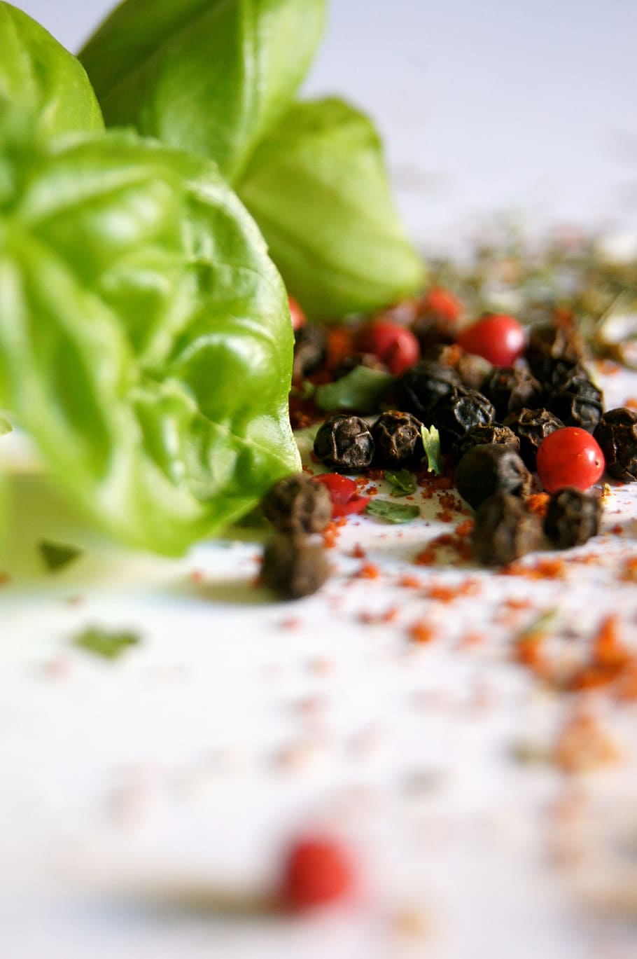 black and red berries near green plant, spices, herbs, basil HD wallpaper