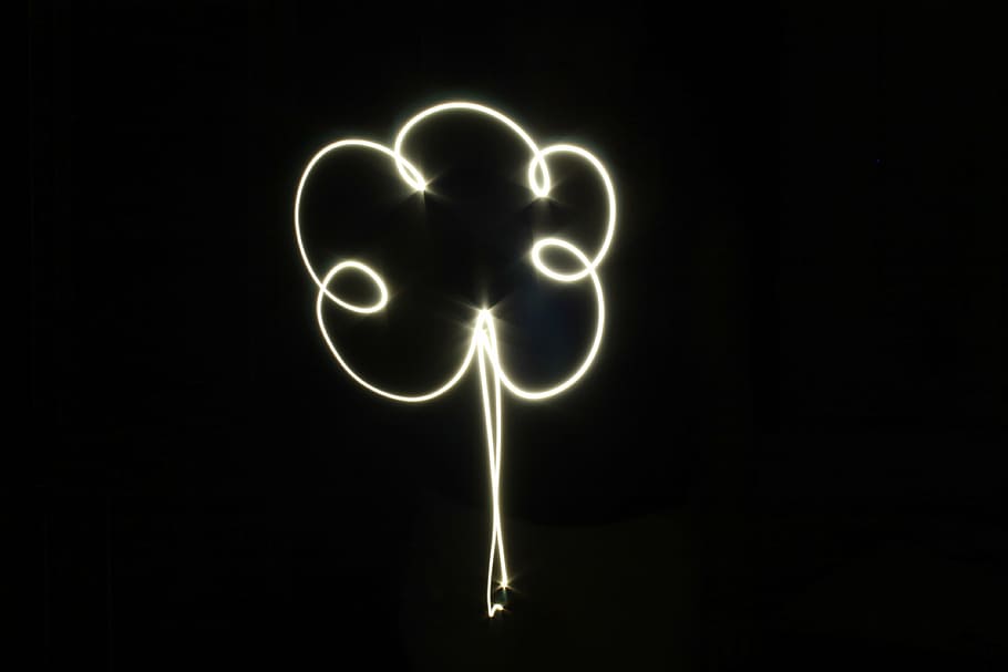 tree, light, paint, black, illuminated, night, neon, black color HD wallpaper