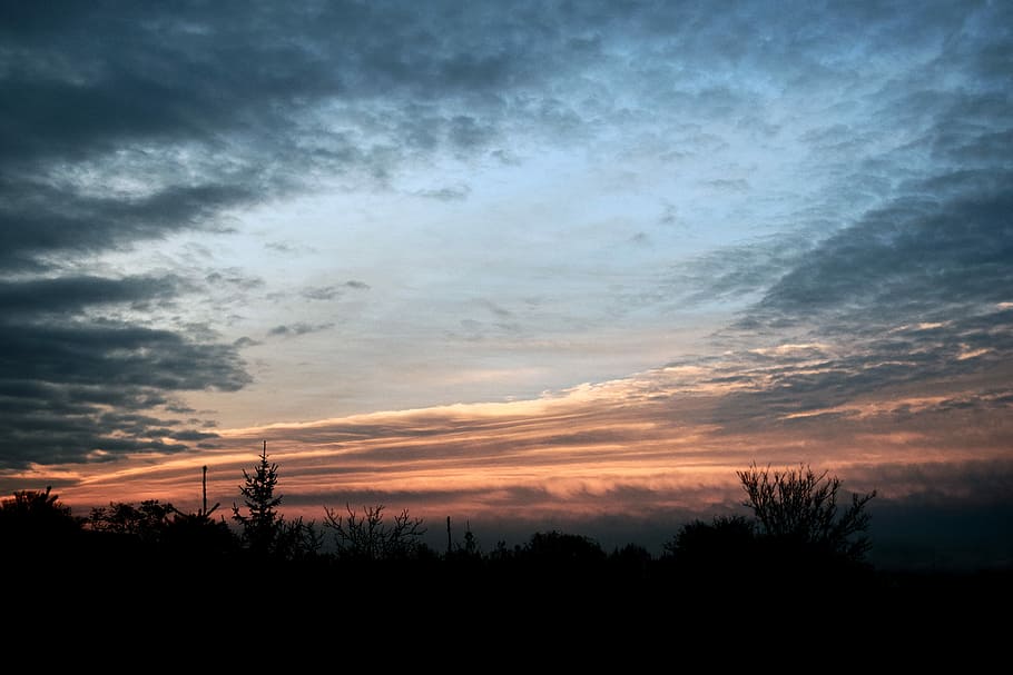 silhouette photo of trees under cloudy sky during golden hour, silhouette of grass during sunset HD wallpaper
