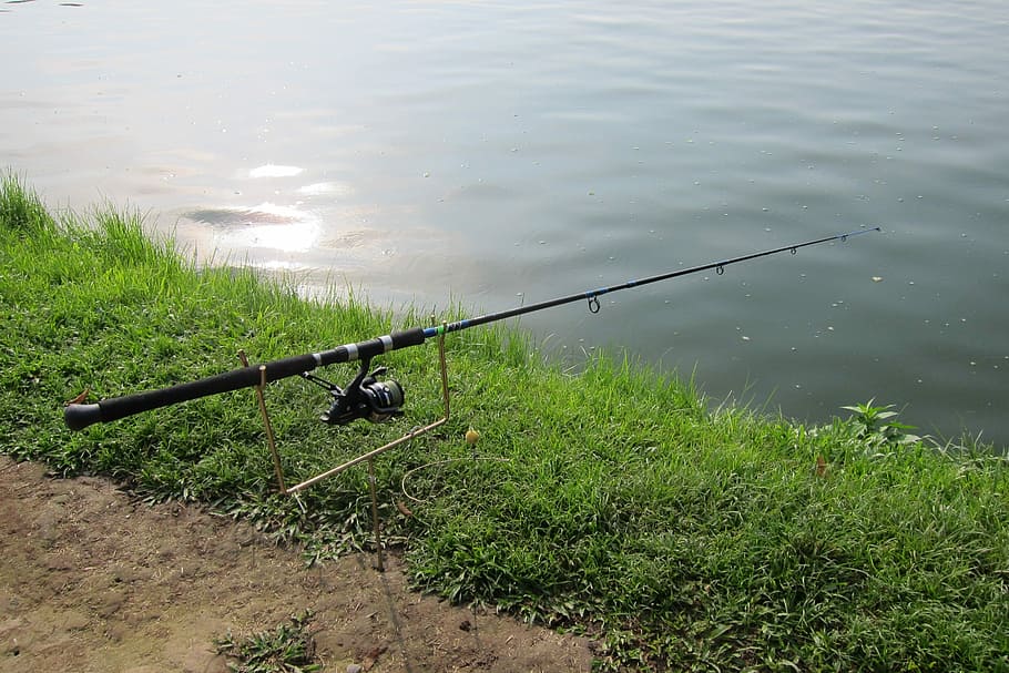 HD wallpaper: fishing rod, hobby, leisure, catch, reel, summer, angler, fun