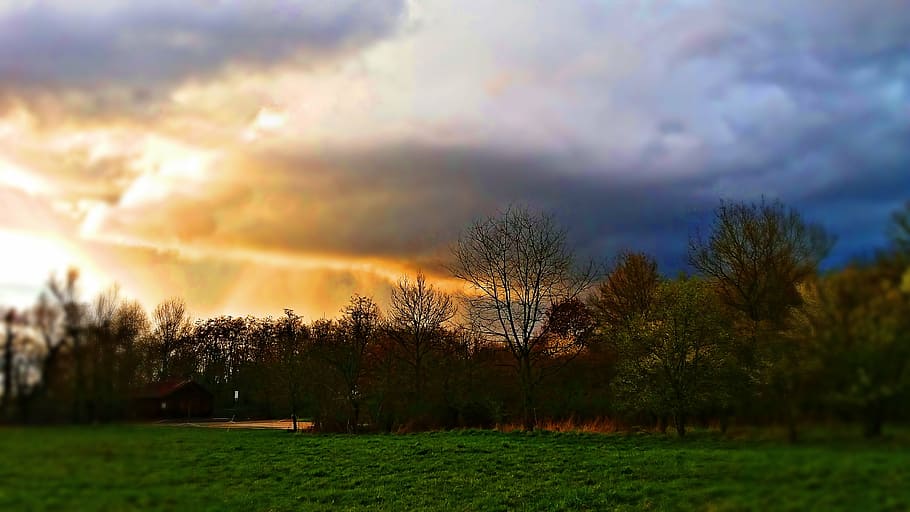 clouds, color, nature, sky, landscape, tree, plant, cloud - sky HD wallpaper