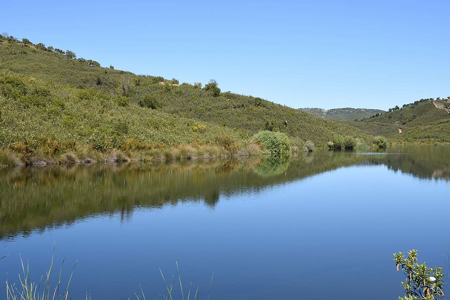 lake, water, landscape, plant, scenics - nature, reflection HD wallpaper