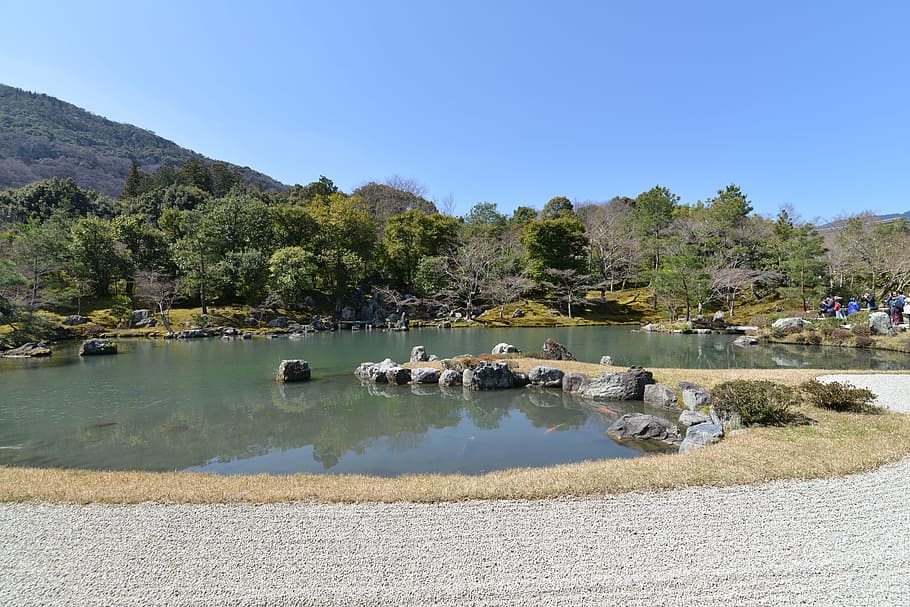 garden, shingle, landscape, boulder, but, water, plant, tree HD wallpaper
