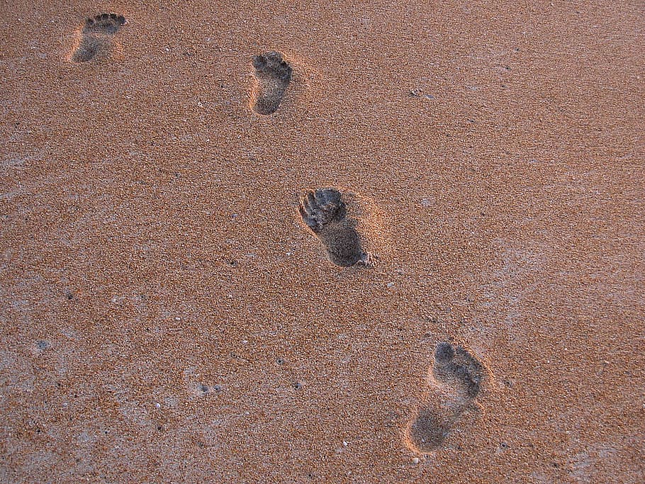 Foot, Steps, Beach, Imprint, Sand, foot steps, summer, sea HD wallpaper