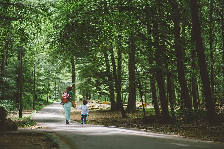 child, green, kid, nature, path, trees, woman, plant, forest HD wallpaper