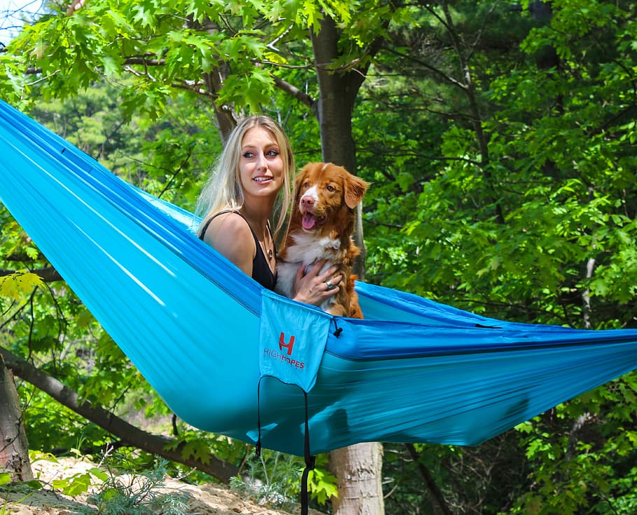Quinn Dog, woman holding short-coated tan and white dog in blue hammock during daytime, HD wallpaper