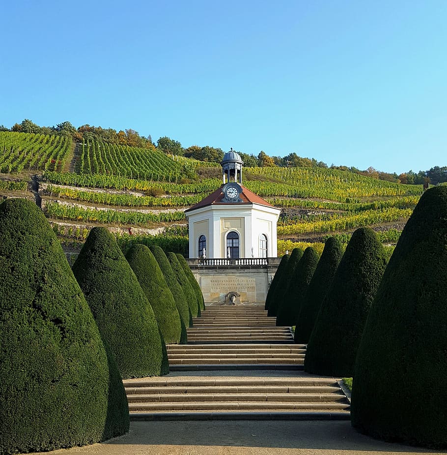 castle, park, wackerbarth, radebeul, wine, architecture, sky HD wallpaper