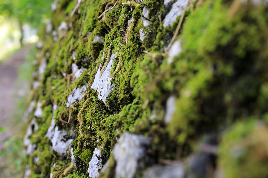 moss stone, moss rock, stone wall, mossy stone wall, green, HD wallpaper