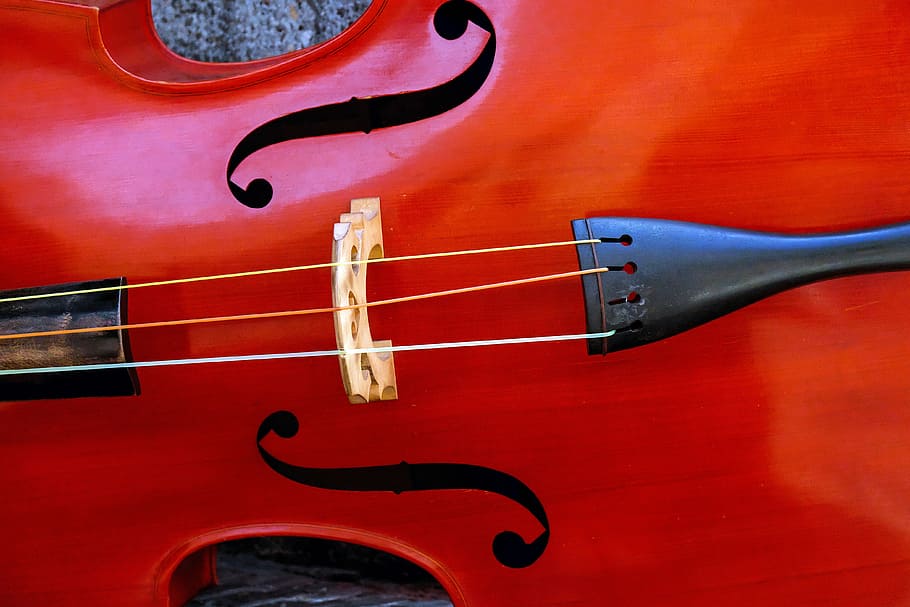 brown stringed instrument, violin, music, arts culture and entertainment HD wallpaper