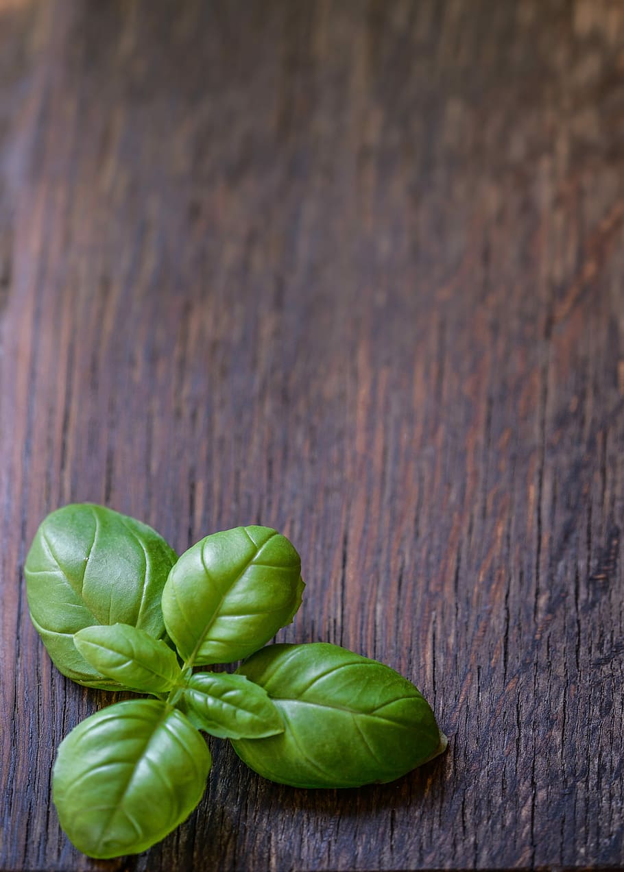 basil, leaf, herb, food, fresh, green, ingredient, healthy HD wallpaper