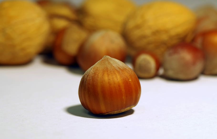Walnut, Italian, Cane, Shell, Hard, festive, split, nature HD wallpaper