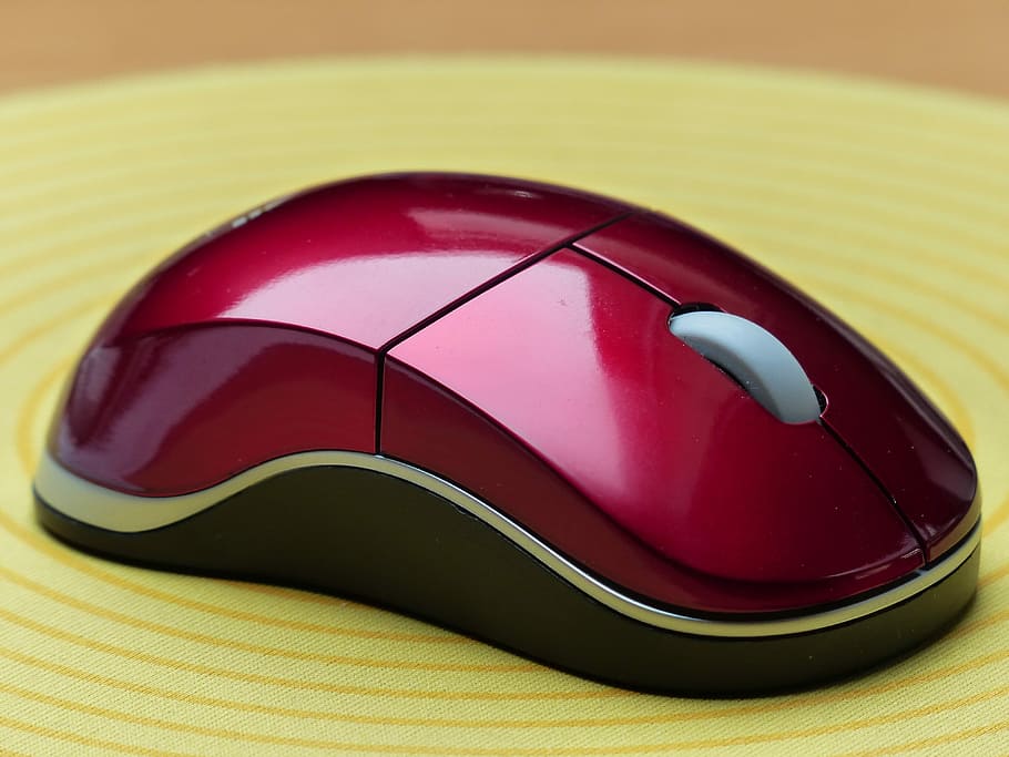 red and black wireless computer mouse, Computer, Input Device