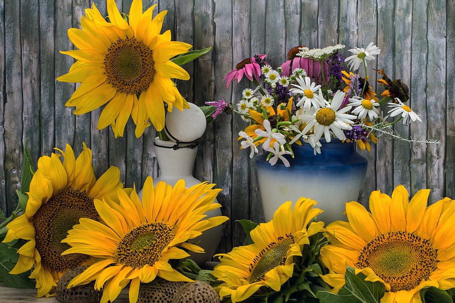 HD wallpaper: sunflower and daisy flowers, still life, wild flowers