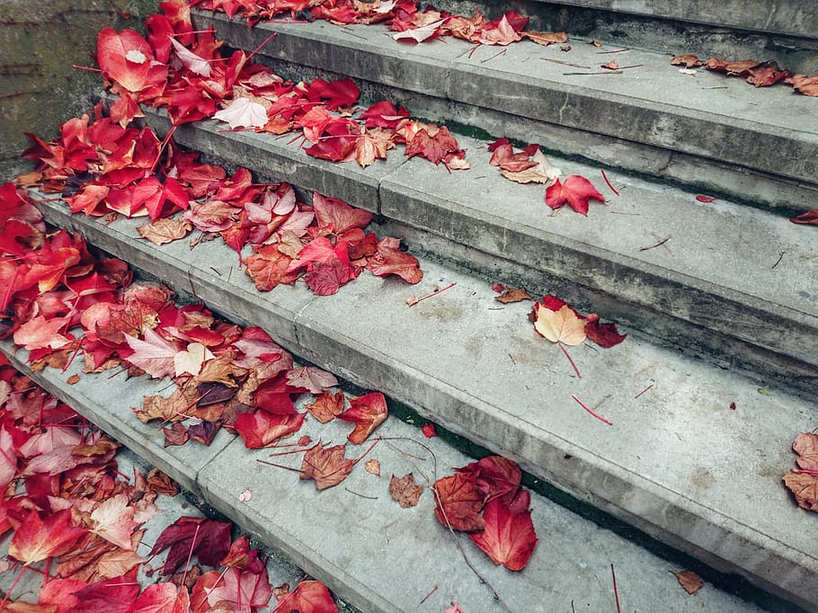 stairs, autumn, leaves, gradually, stone, sadness, loneliness