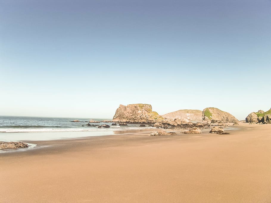 photo of brown near beach under blue and white sky, scenery HD wallpaper